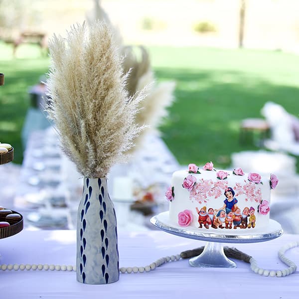 Boho Picnic