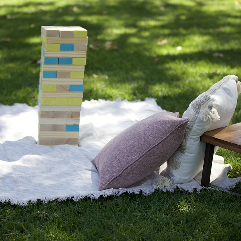 Zoo Picnic
