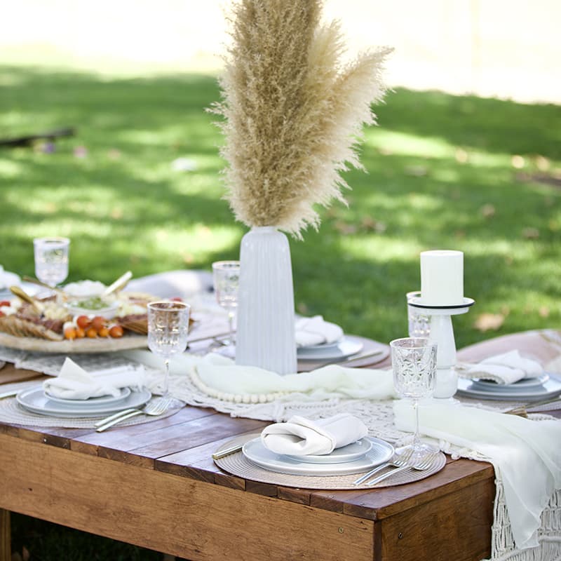 Zoo Picnic